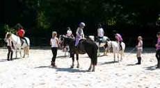 Pine Ridge Riding School, Sevenoaks