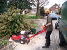 Greenoak Tree Surgery, Rochester