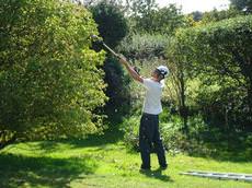 Eastern Tree Care, Norwich