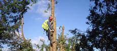 Branch Walkers Wales, Monmouth