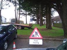 Cornwall Tree Surgery, Redruth
