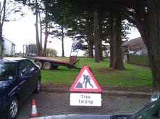 Cornwall Tree Surgery, Redruth