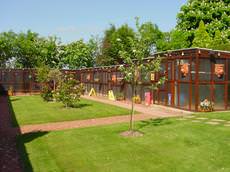 Cuddington Boarding Cattery, Cuddington