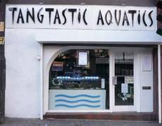 Tangtastic Aquatics, Walsall