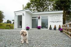 Clyde Valley Pet Retreat, Lanark