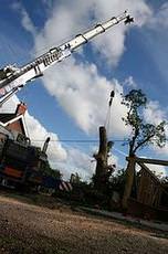 Clausentun Tree Surgeons, Southampton