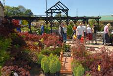 Daisy Nook Garden Centre, Failsworth