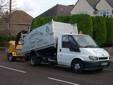 ArborVitae Tree Care, Bournemouth