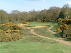 Woodbridge Golf Club, Woodbridge